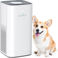 Air Purifier for Home Large Room & Pets, Covers up to 1800 Ft² with CADR 242 CFM, H13 HEPA Filter, Air Quality Display, Smart App Control, Quiet Sleep Mode, Remove Dust, Smoke & Odor